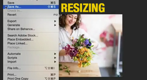 How to Resize Photos for Different Purposes (VIDEO)