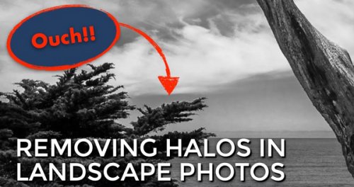 Banish HALOS from Nature Photos with This Editing Technique (VIDEO)