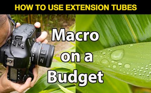 BUDGET Macro Photos: Use Extension Tubes—Not a Special Lens (VIDEO)