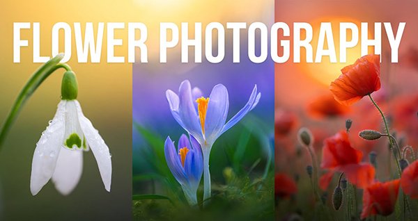 PHOTO LESSON VIDEOS