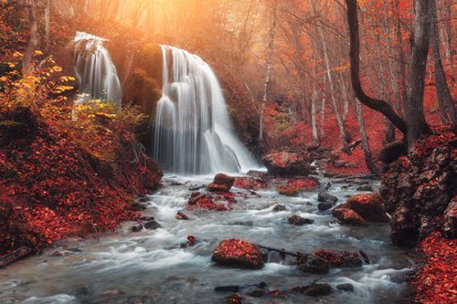 5 Quick and Simple Tips for Shooting Radiant Images of Fall Foliage