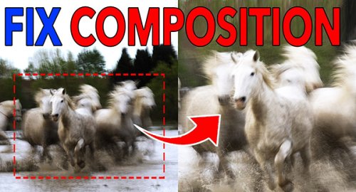 Don't Crop Wildlife & Nature Photos Before Watching This Video