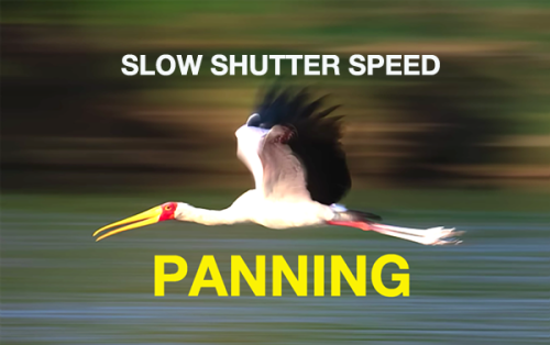 Panning with Slow Shutter Speeds for Jaw Dropping Photos (VIDEO)