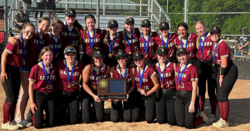 Here are the brackets for the 2023 Minnesota state softball tournament