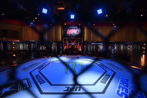 Laura Sanko Set to Make UFC Broadcast Debut