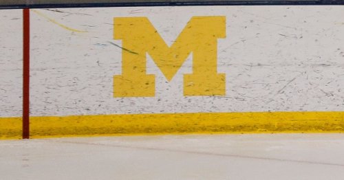 Michigan Dismisses Hockey Player for Alleged Hate Crime