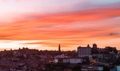 7 Things to Do in Porto