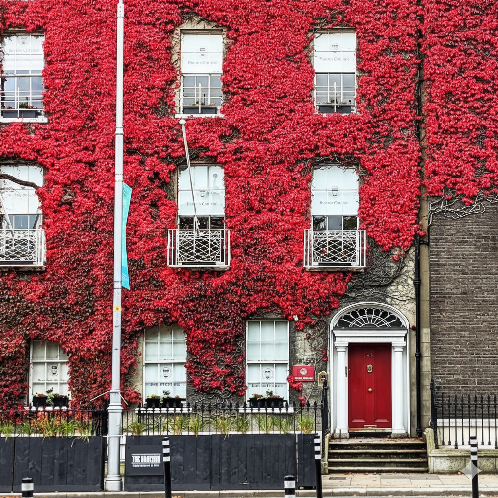 Dublin in October: 31 Fun Things to See, Do & Eat