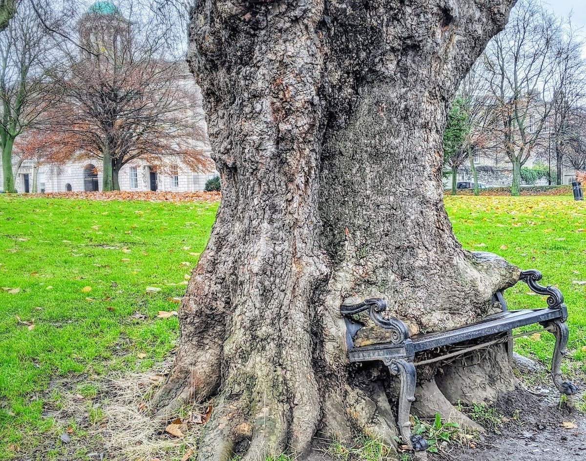 Dublin in November: 14 Fun Things to See, Do & Eat
