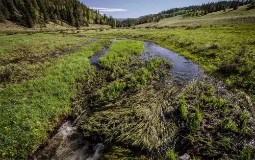 How to Restore a Watershed in the Southwest