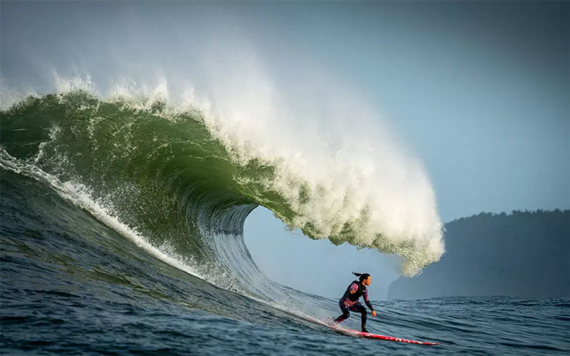 Surfing the Waves of Technology cover image