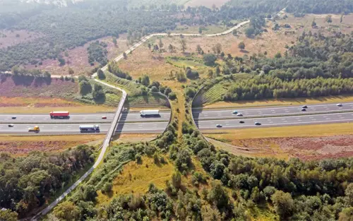 Wildlife Crossings Can Mend a Landscape