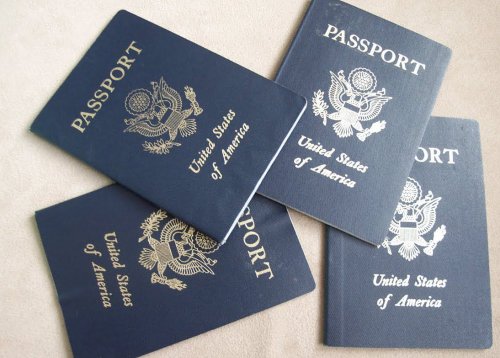 Pilot program allows Americans to renew their passport online: What you need to know