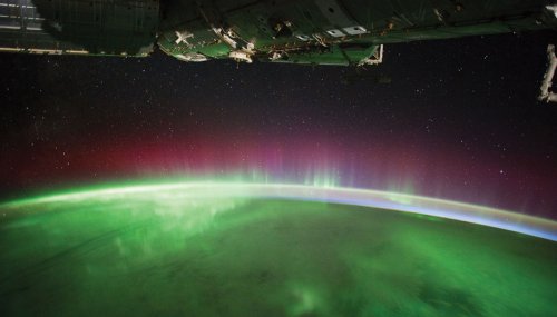 Earth’s magnetic dipole collapses, and life explodes