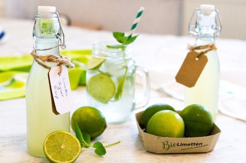 Erfrischende Limetten Ingwer Limonade selber machen - SilverTravellers