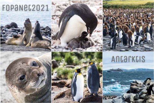 Faszination Antarktis – meine schönsten Reisefotos 2021
