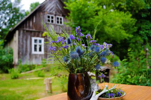 Meine perfekten 3 Tage Urlaub im Spreewald – Tipps für Ausflugsziele, Sehenswürdigkeiten und Aktivitäten
