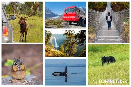 Highlights in Alberta und British Columbia – meine schönsten Reisefotos 2023