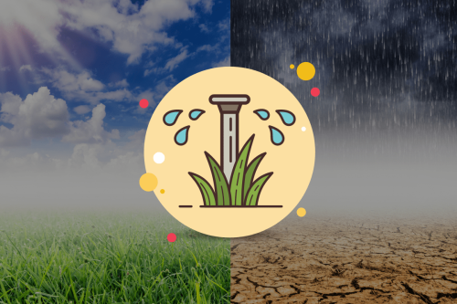 Smarte Bewässerungssteuerung mit Regen, Sonne, ETo & Co.