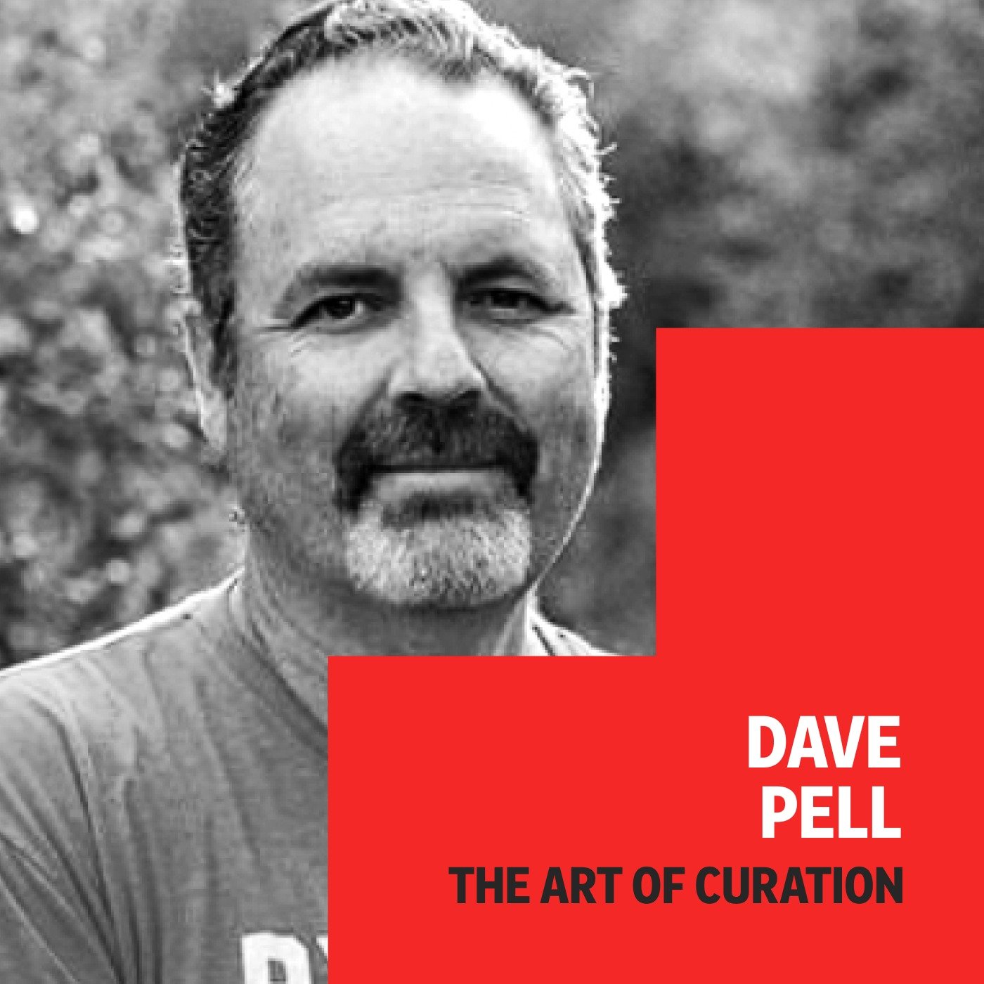 “I am the algorithm” 👨🏻‍💻 Dave Pell, NextDraft