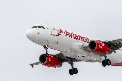 avianca-changes-rules-after-carrying-25-service-dogs-in-1-flight