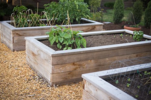 how-to-prepare-raised-beds-for-planting-in-the-spring-flipboard