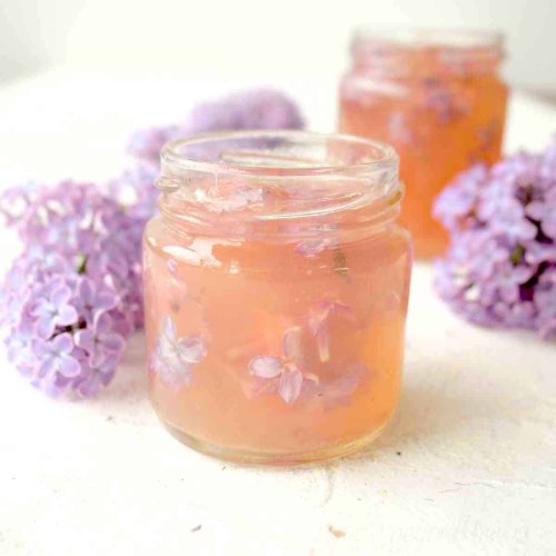Make Lilac Jelly: A Fragrant Delicacy