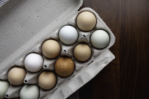 is-it-worth-paying-extra-money-for-grade-aa-vs-grade-a-eggs-flipboard