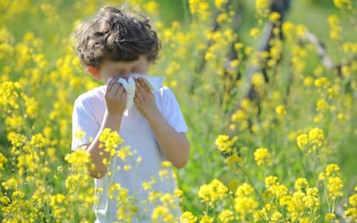 Cos’è l’allergia alle graminacee? Dai sintomi ai cibi da evitare