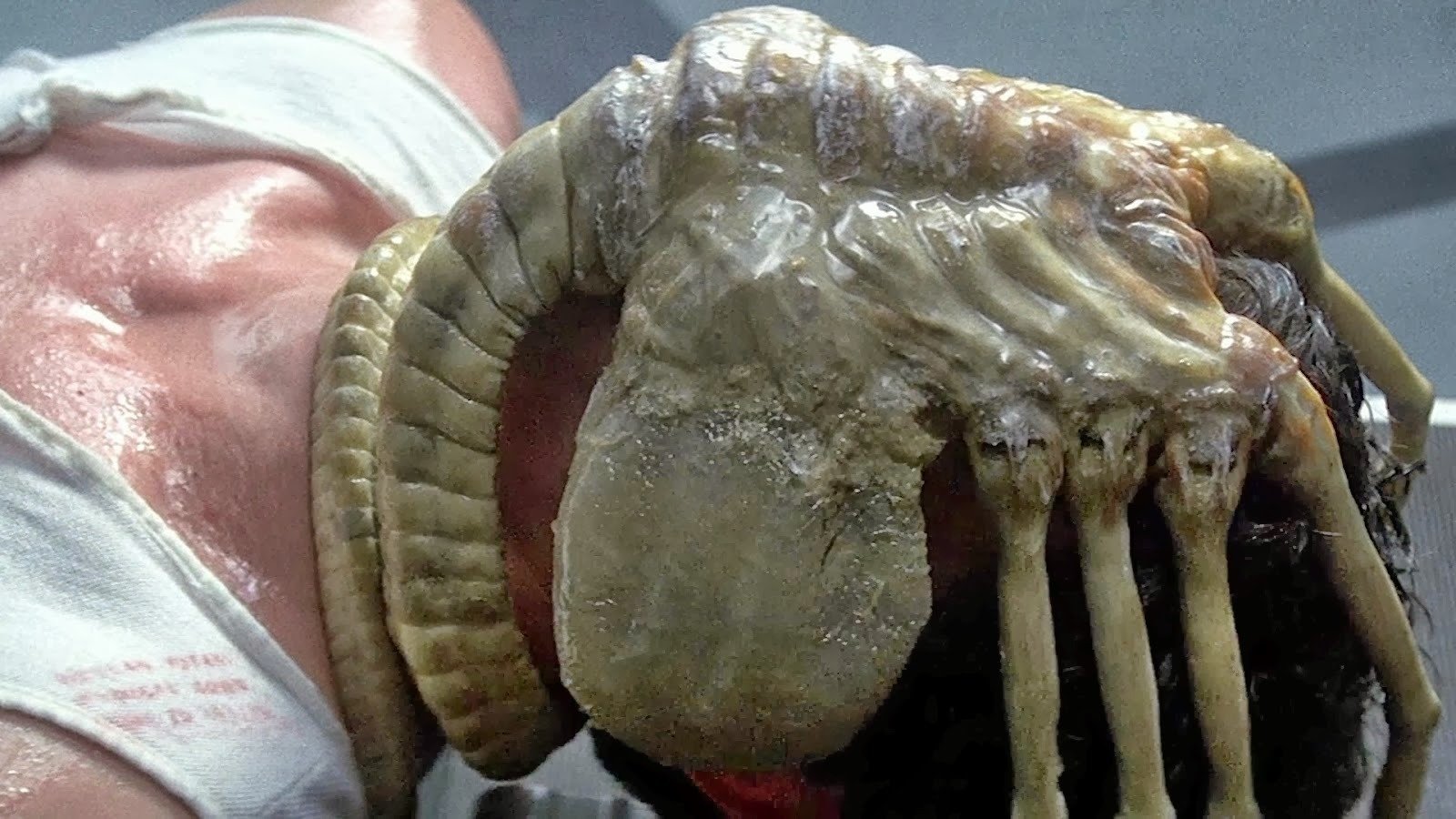 Alien's Facehugger Props Were Somehow Even Grosser Than They Look