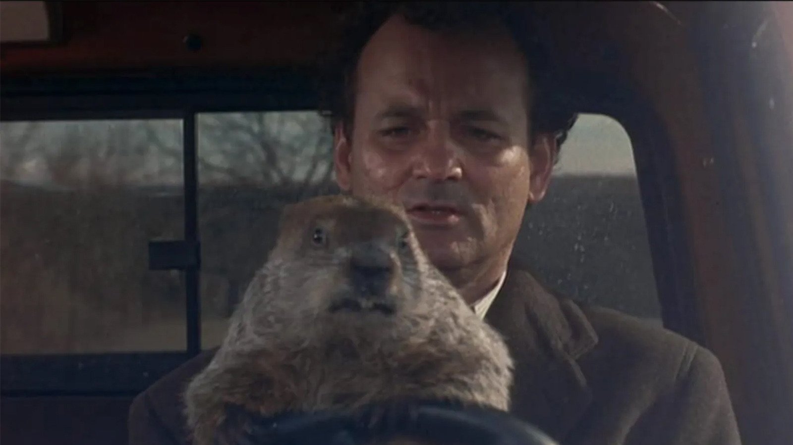 Groundhog Day's Biggest Mystery Never Had An Answer