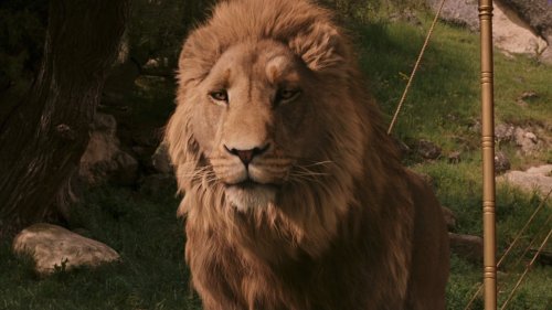 Why A Chronicles Of Narnia Sequel Left Liam Neeson Frustrated
