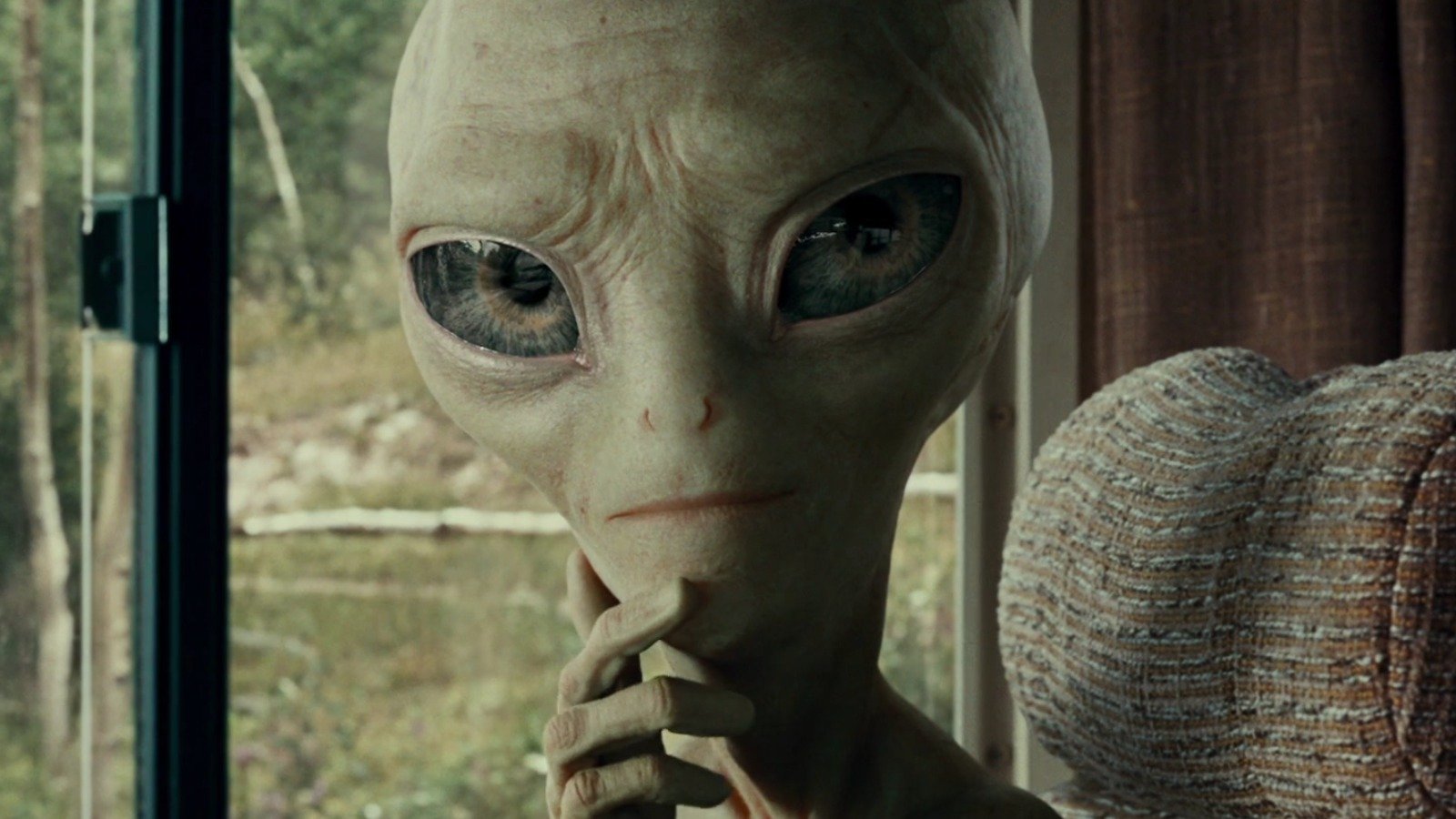 Steven Spielberg's Cameo In The Simon Pegg Alien Comedy Paul Was His Idea