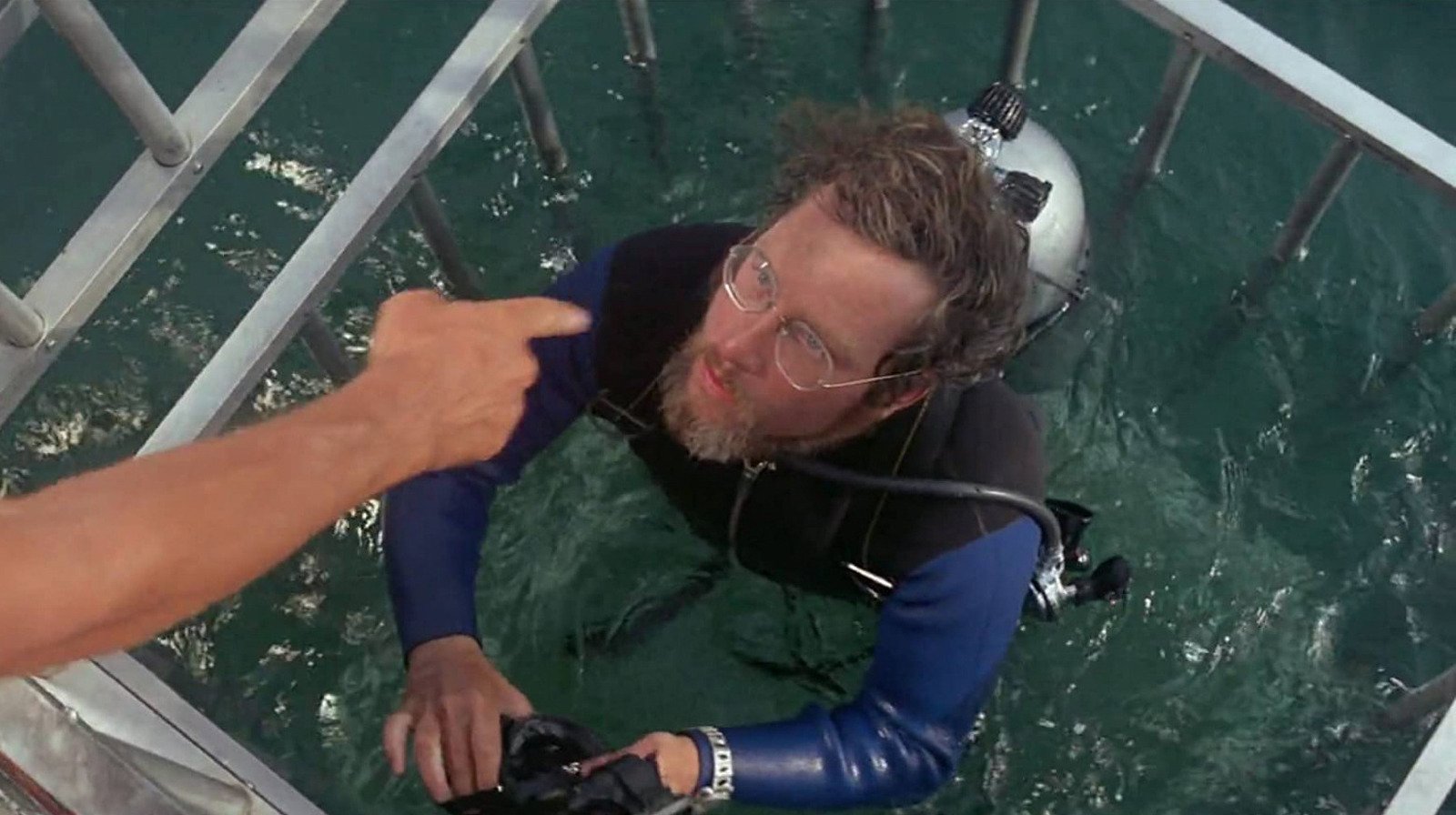 The Cage Scene In Jaws Was More Real Than You Think