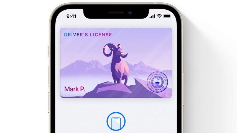 Apple delays controversial iPhone driver's license feature