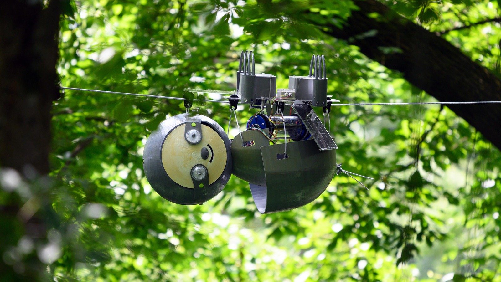 How A Sloth Robot That Could Save The World's Most Endangered Species