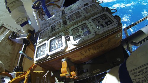 Why Kombucha Could Be The Key To Healthy Astronauts In Space