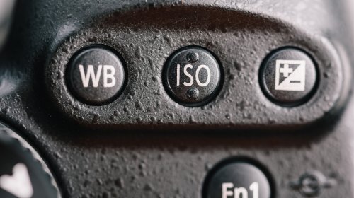ISO In Photography Explained: An Easy Guide (With Tips)