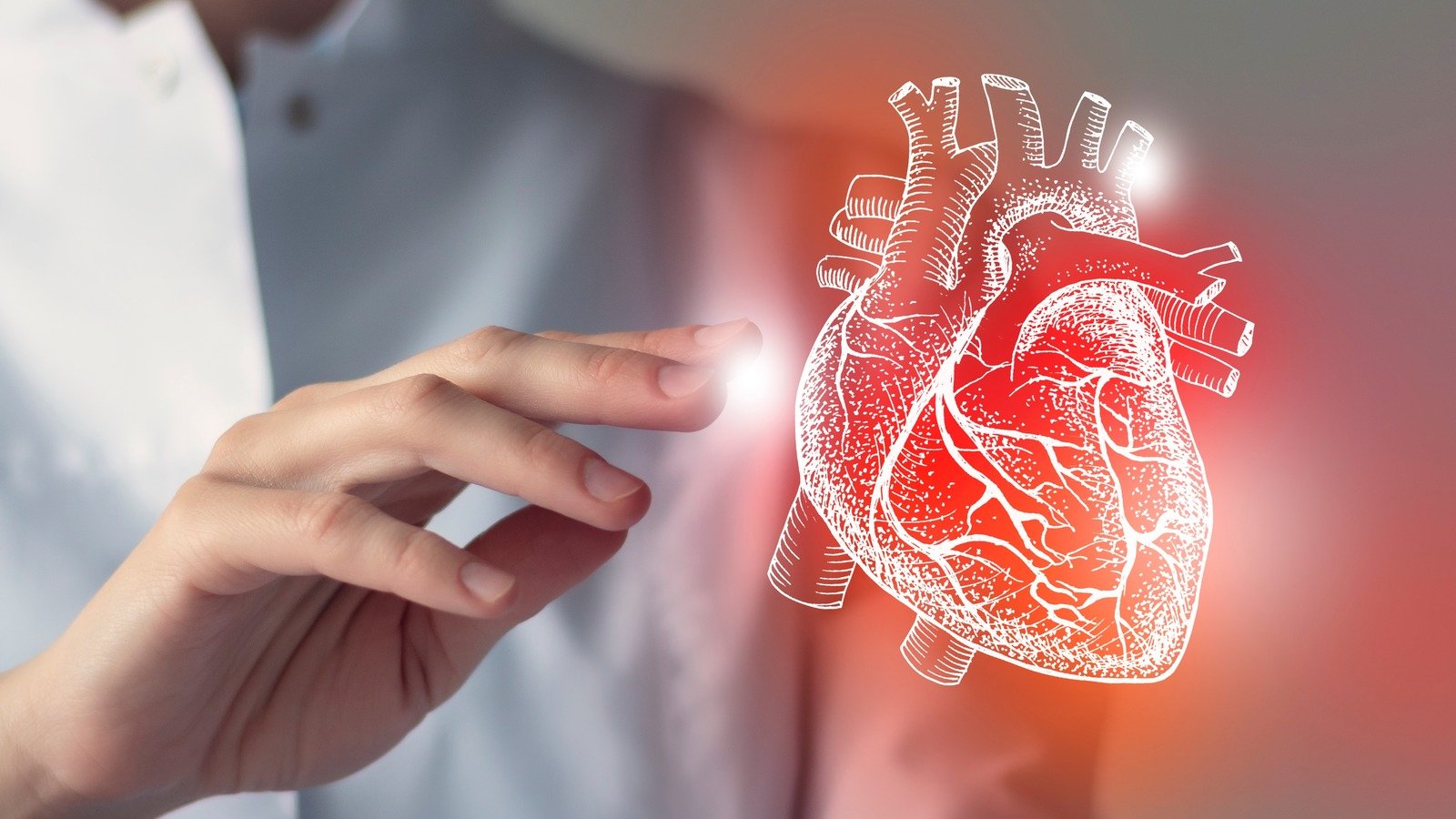 Scientists Suggest This Could Be The Key To Preventing Heart Attacks