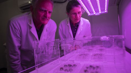 Scientists Have A Plan For Growing Food On The Moon. Here's What It Looks Like