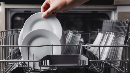 Every Major Dishwasher Brand Ranked Worst To Best