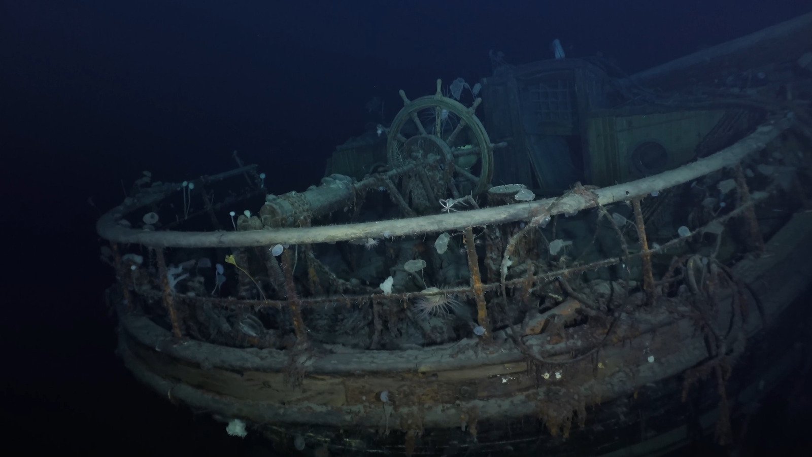 Twitter Is Freaking Out Over The Discovery Of Endurance Shipwreck