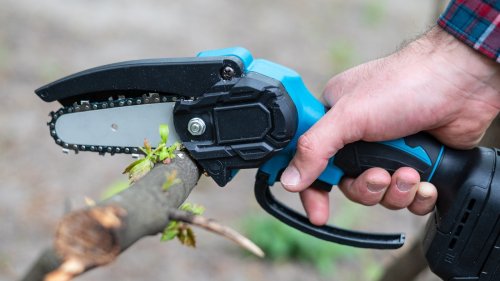 5 Mini-Chainsaws That Could Come In Handy For Camping And Overlanding