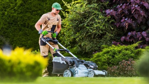 5 Affordable Lowe's Lawn Mowers To Whip Your Lawn Into Shape This Spring