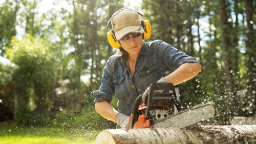 5 Top-Rated Chainsaws You Can Find At Ace Hardware