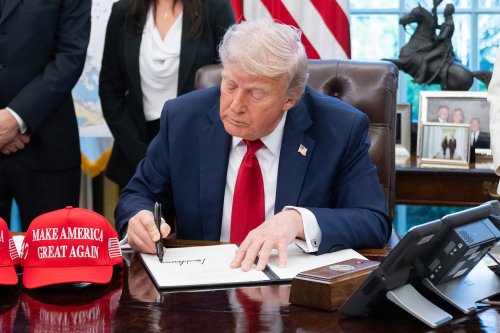 Trump Is Dismantling Domestic Violence Nonprofits by Banning Certain Words