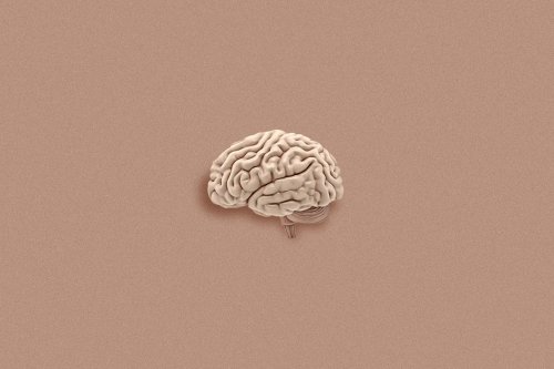 The Long, Slow Process of Brain Aging Starts Early. So Should Dementia Prevention.