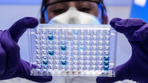 Croyez-le ou non, les virus font du bruit: étudier leurs sons pourrait révolutionner la médecine