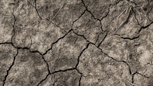 En 2500, la Terre sera hostile aux humains