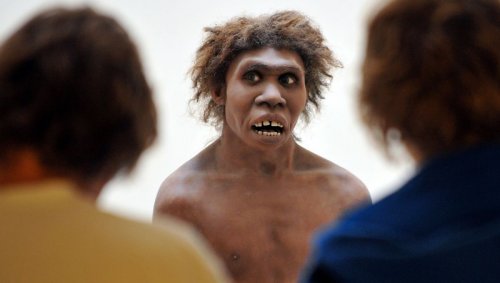 Les Néandertaliens auraient évolué pour ne pas sentir leur propre puanteur